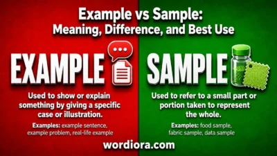 Example vs Sample: Meaning, Difference, and Best Use