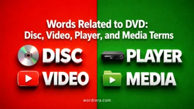 Words Related to DVD: Disc, Video, Player, and Media Terms