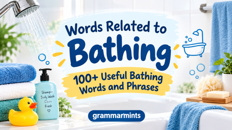Words Related to Bathing